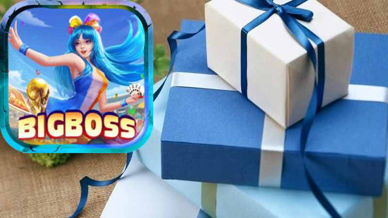 Chương Trình Khuyến Mãi Tại Nhà Cái Bigboss Có Thực Sự Hấp Dẫn?